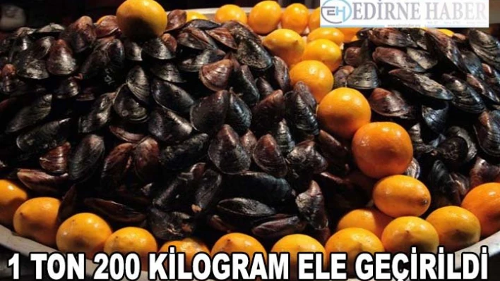 Edirne'de 1 ton 200 kilogram kaçak midye ele geçirildi