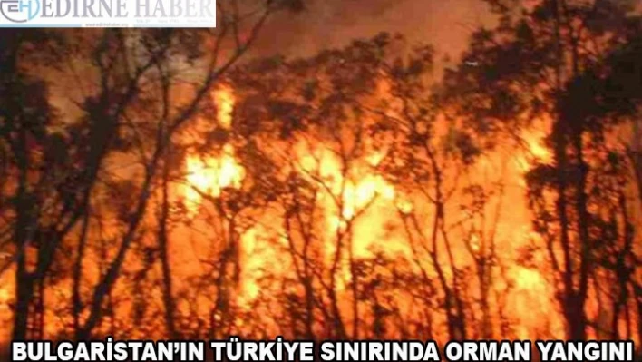 Bulgaristan'ın Türkiye sınırında orman yangını çıktı