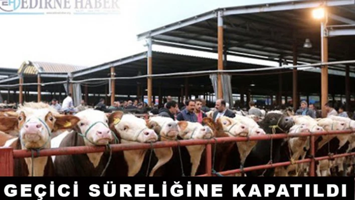 Trakya'nın en büyük hayvan pazarı Kovid-19 tedbirleri kapsamında kapatıldı