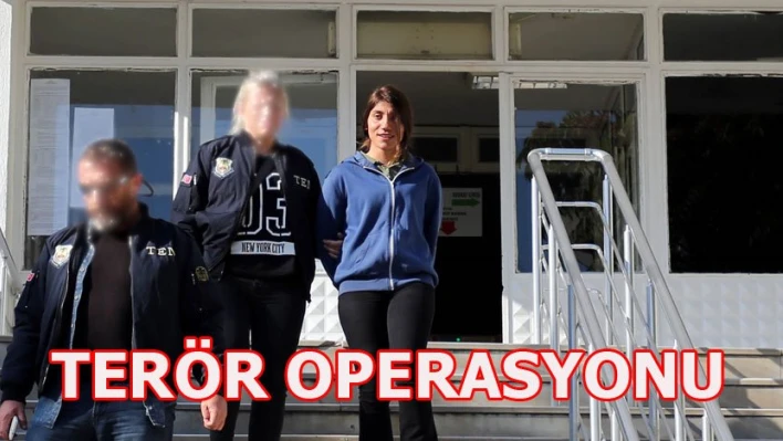 Terör operasyonu