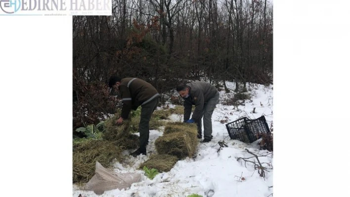 Yaban hayvanları için doğaya 4,5 ton yem bırakıldı