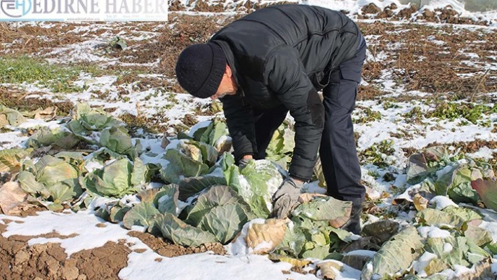 Üreticinin mücadelesi sürüyor