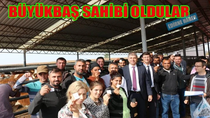Genç Çiftçilere 114 Büyükbaş