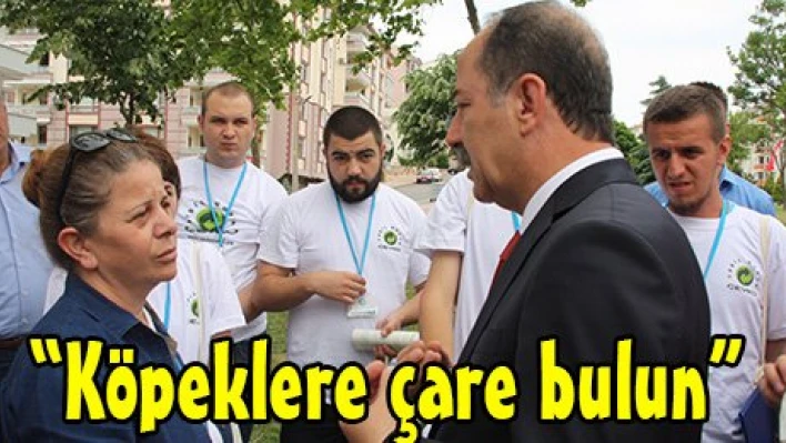 'Köpeklere çare bulun'