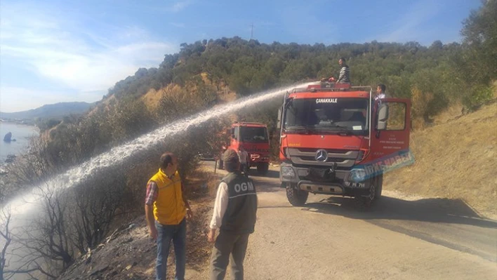 Zeytinlik alanda yangın