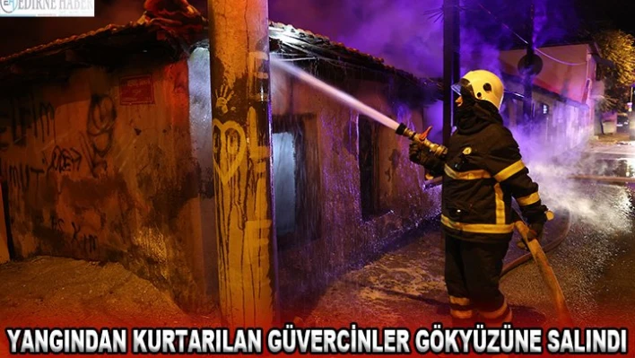 YANGINDAN KURTARILAN GÜVERCİNLER GÖKYÜZÜNE SALINDI