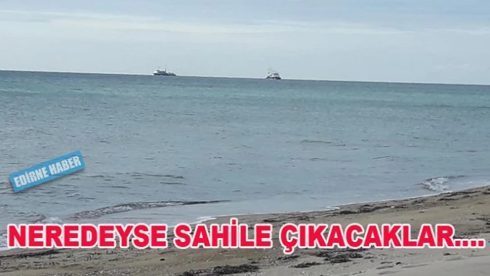 Bilin bakalım kaç milde avlanıyorlar?
