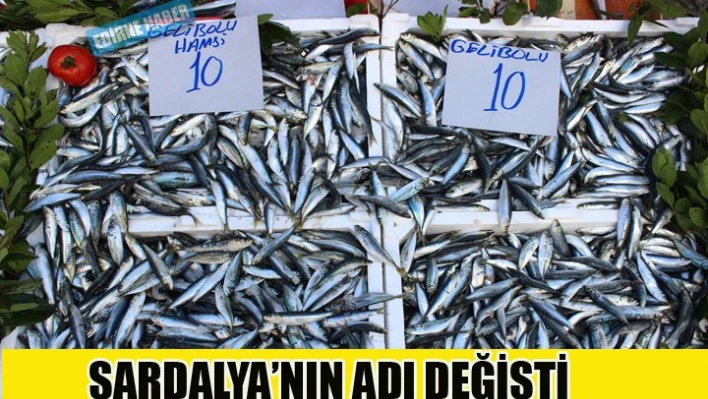 Sardalya'nın adı Hamsi oldu