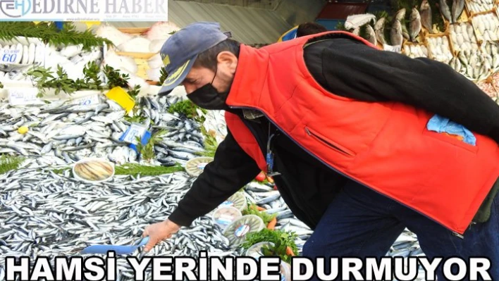 Hamsi yerinde durmuyor