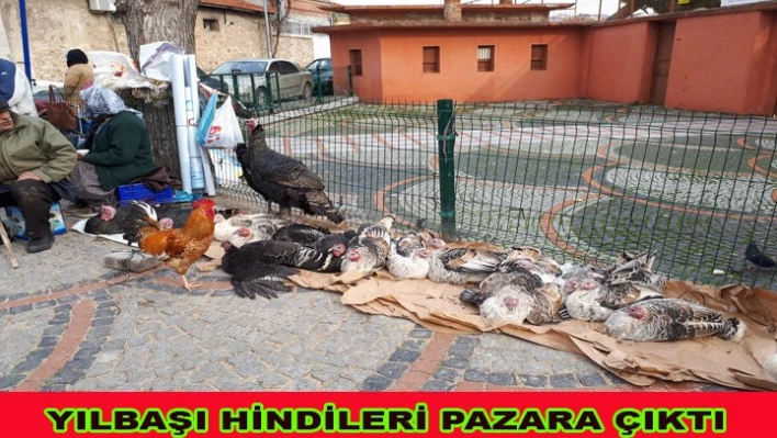 Şimdi Hindi zamanı