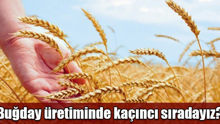 Edirne 12. sırada