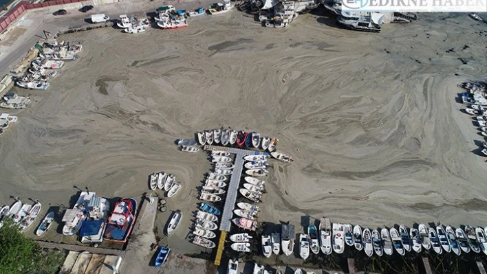 Tekirdağ'da küçük tekne balıkçıları deniz salyası nedeniyle denize açılamıyor