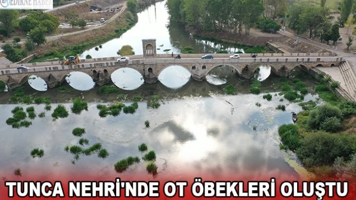 Tunca Nehri'nde ot öbekleri oluştu