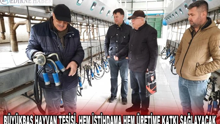 BÜYÜKBAŞ HAYVAN TESİSİ, HEM İSTİHDAMA HEM ÜRETİME KATKI SAĞLAYACAK
