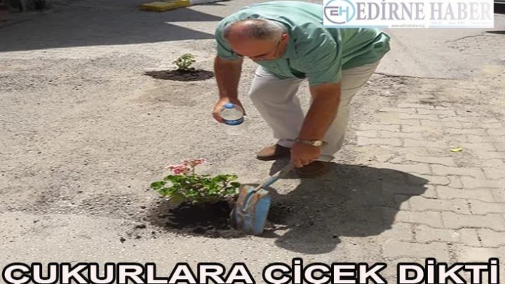 Yol Saksıları