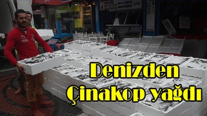 Denizden Çinakop yağdı
