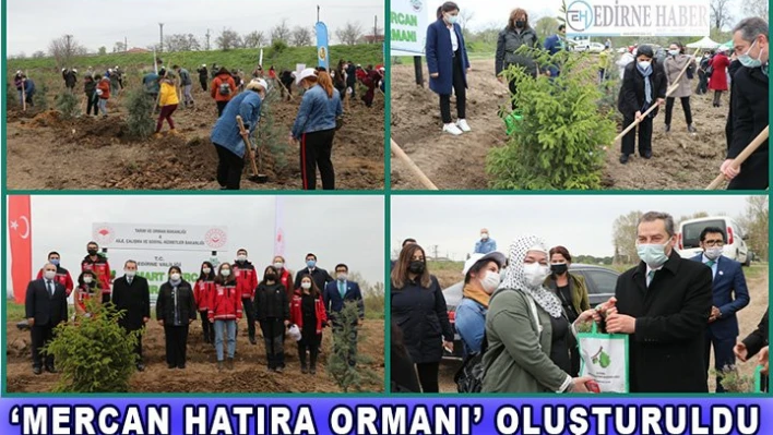 â€˜Mercan Hatıra Ormanı' oluşturuldu