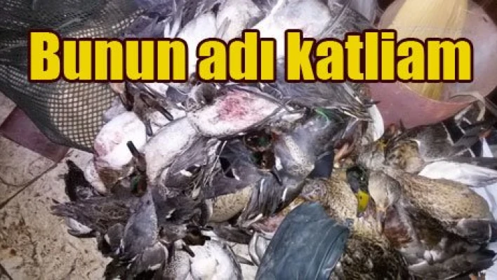 Av değil, katliam yapmışlar