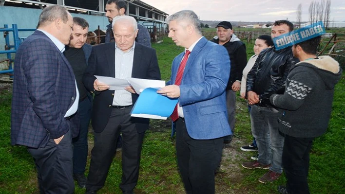 Büyükbaş hayvan dağıtıldı