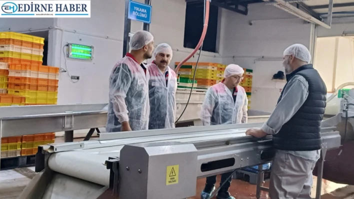 Balıkçılıkta sürdürülebilirlik ve gıda güvenliği denetim altında