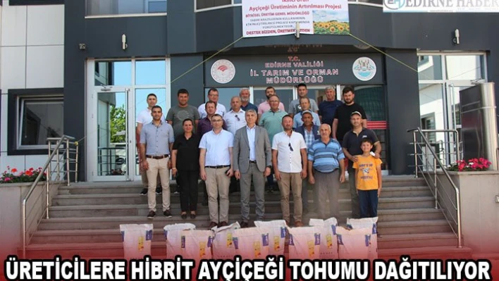 Üreticilere hibrit ayçiçeği tohumu dağıtılıyor