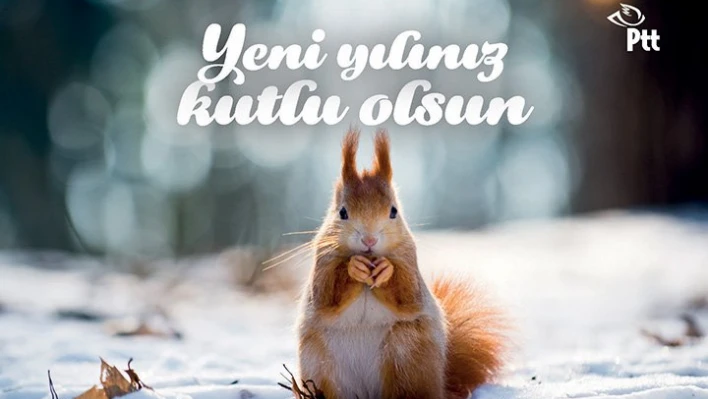 Yılbaşına Özel Kampanya
