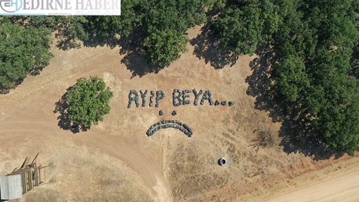 Trakya şivesi ile tepki gösterdiler