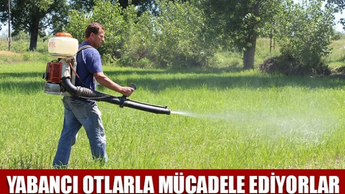 Ekim bitti, mücadele başladı