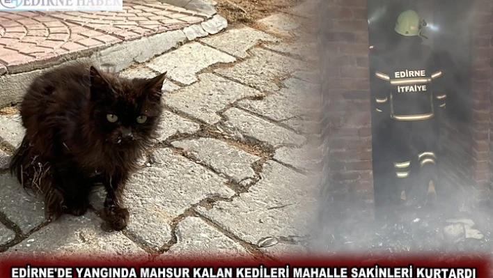 EDİRNE'DE YANGINDA MAHSUR KALAN KEDİLERİ MAHALLE SAKİNLERİ KURTARDI