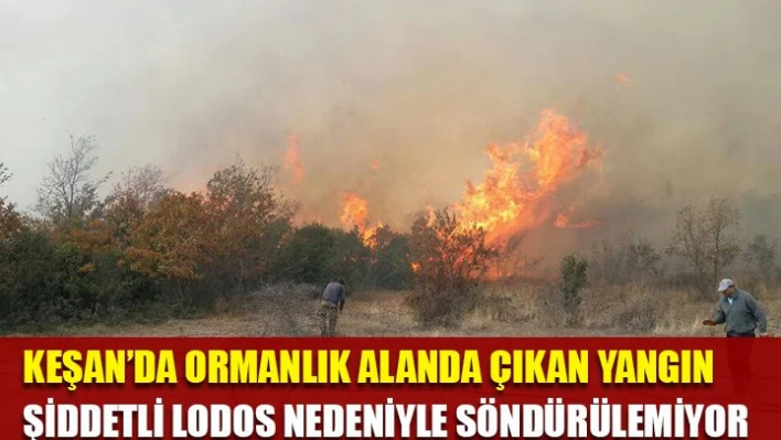 Ciğerlerimiz yanıyor
