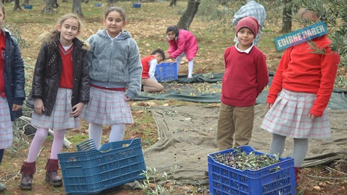 Yaparak, yaşayarak öğrendiler