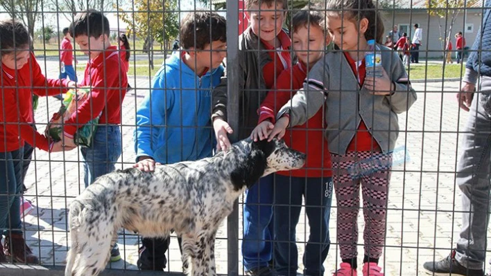 Oyuncaklarını feda ettiler