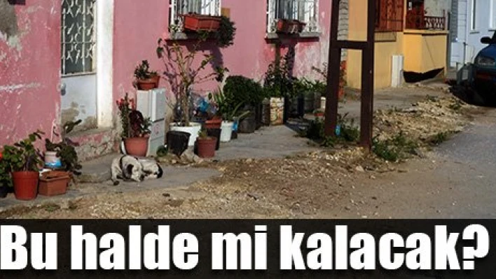 Kaldırımlar unutuldu