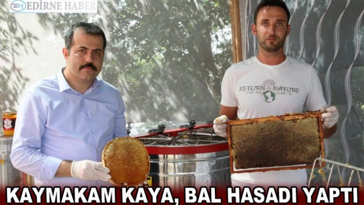 Kaymakam Kaya, bal hasadı yaptı