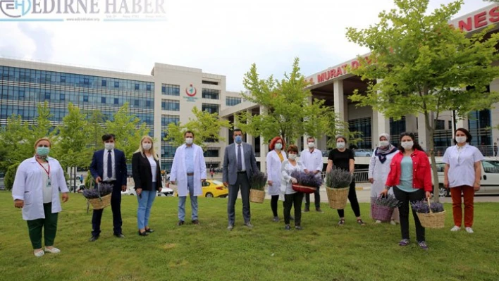 Lavantalar sağlık çalışanları için hasat edildi