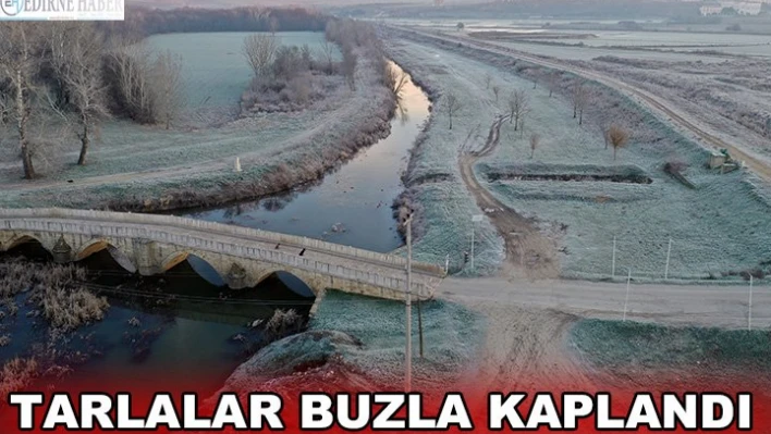 Soğuk hava nedeniyle tarlalar buzla kaplandı