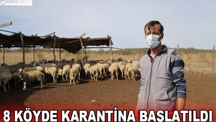  Edirne'de 'mavi dil' hastalığı görülen 8 köyde karantina başlatıldı