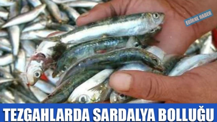 Fiyatı düşüyor
