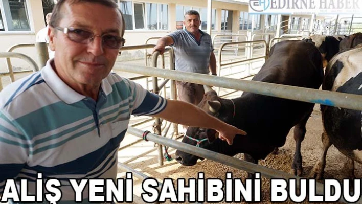 Aliş yeni sahibini buldu