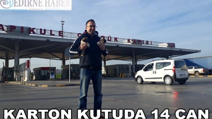 KARTON KUTUDA 14 CAN