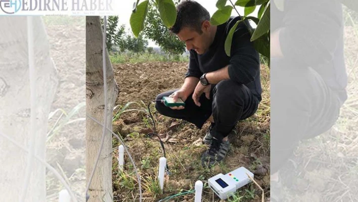 Ceviz ağaçlarının su kullanımı TÜBİTAK destekli projeyle analiz edilecek