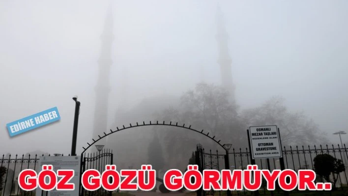 Sis Edirne'yi esir aldı