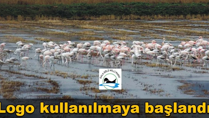 Artık bir Logosu var