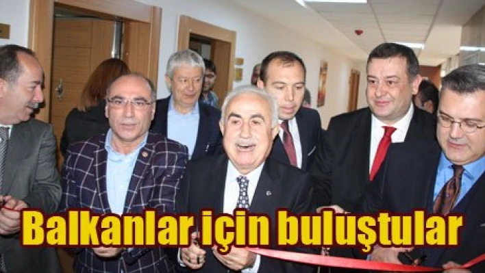 Balkan dernekleri tek çatı altında