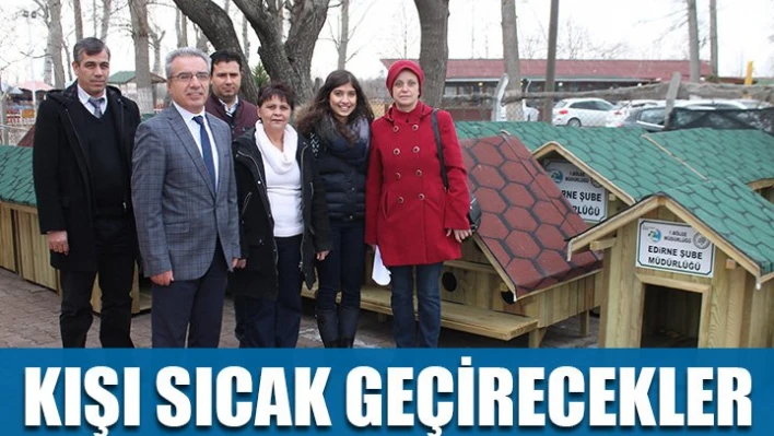 Sokak hayvanlarına sıcak yuva