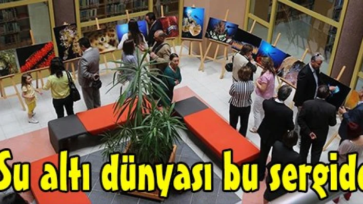 Su altı dünyası bu sergide