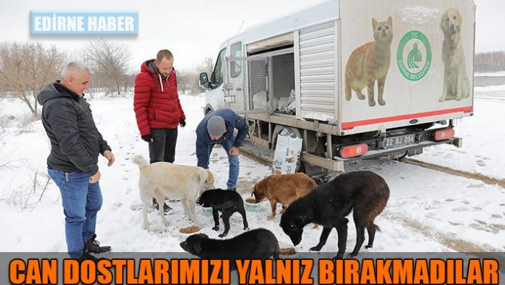 Yalnız bırakmadılar
