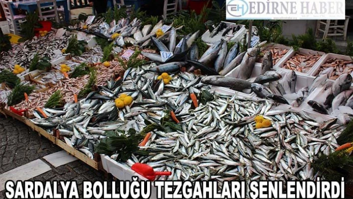 Sardalya bolluğu tezgahları şenlendirdi