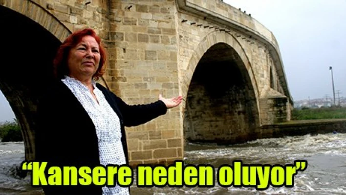 'Kansere neden oluyor'