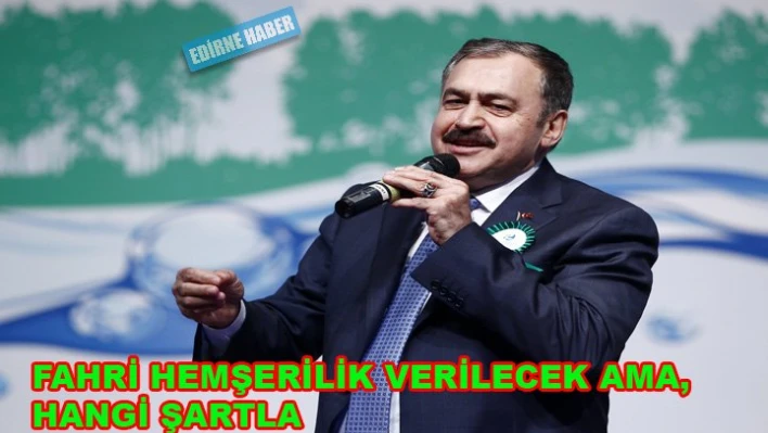 Orman ve Su İşleri Bakanı Eroğlu'na 'şartlı' Edirne hemşehrilik beratı